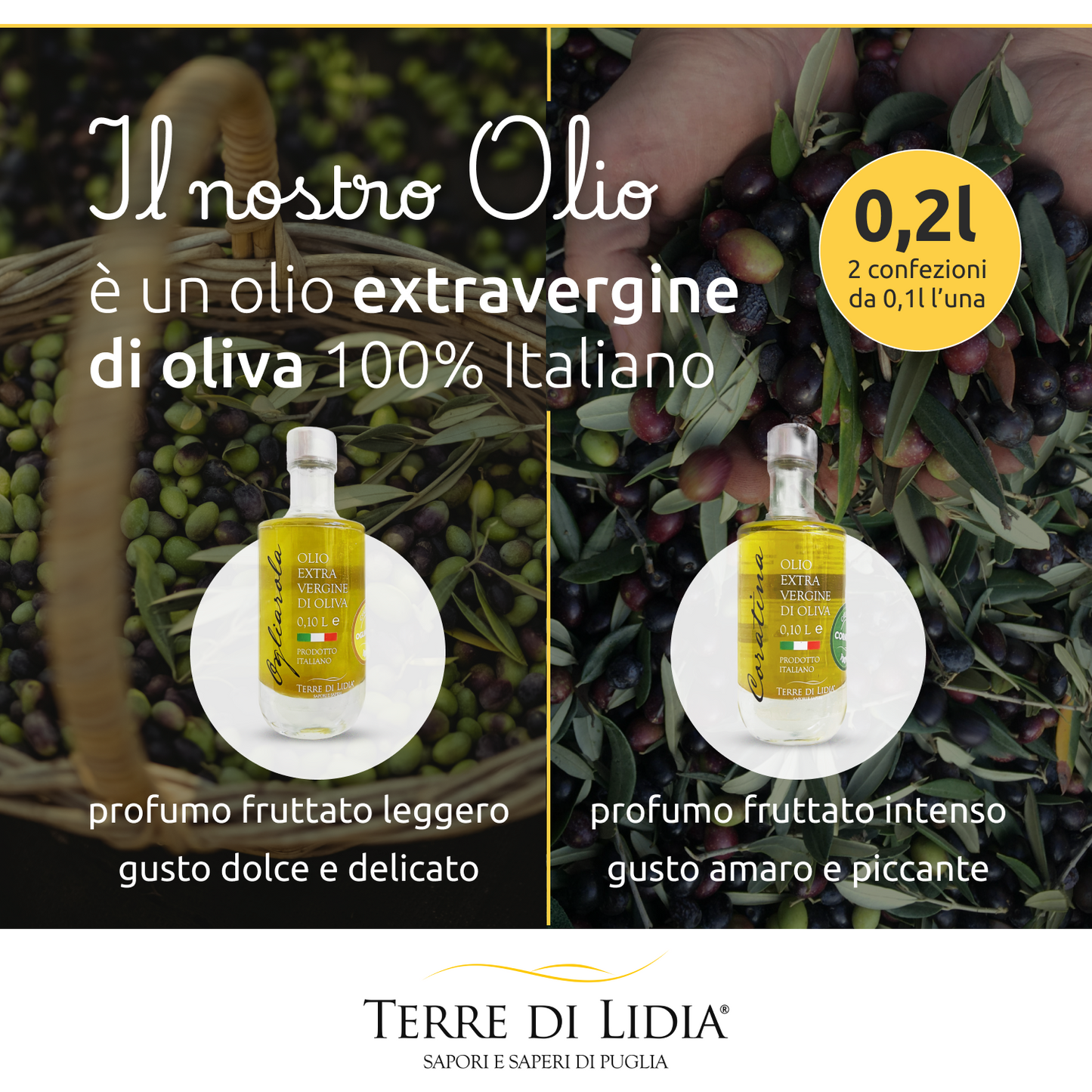 Kit Assaggio Olio Extravergine di Oliva + Mandorle + Taralli