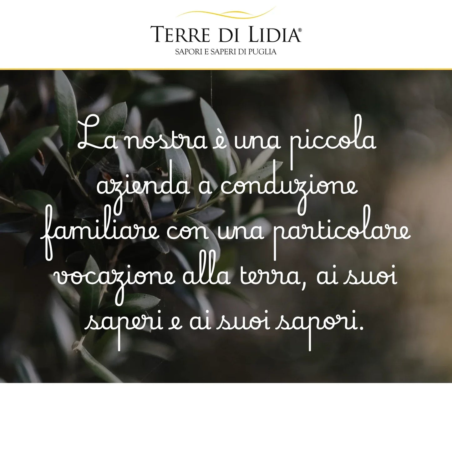 Kit Assaggio Olio Extravergine di Oliva Coratina + Ogliarola - Terre di Lidia