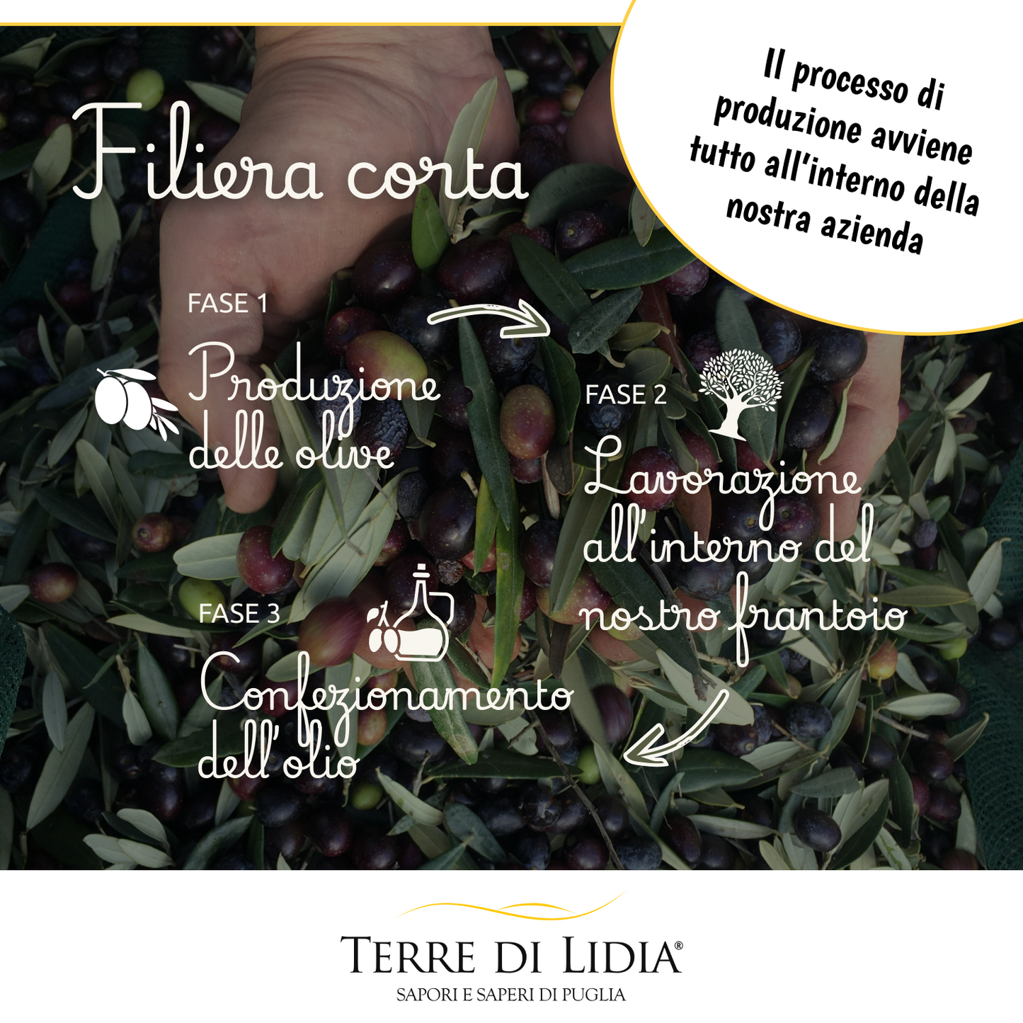 Kit Assaggio Olio Extravergine di Oliva + Mandorle + Taralli