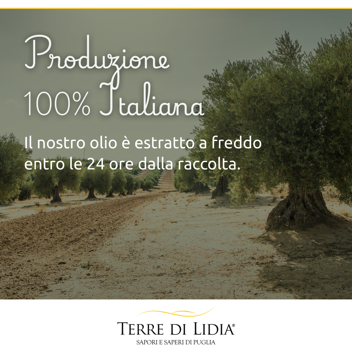 Kit Assaggio Olio Extravergine di Oliva + Mandorle + Taralli