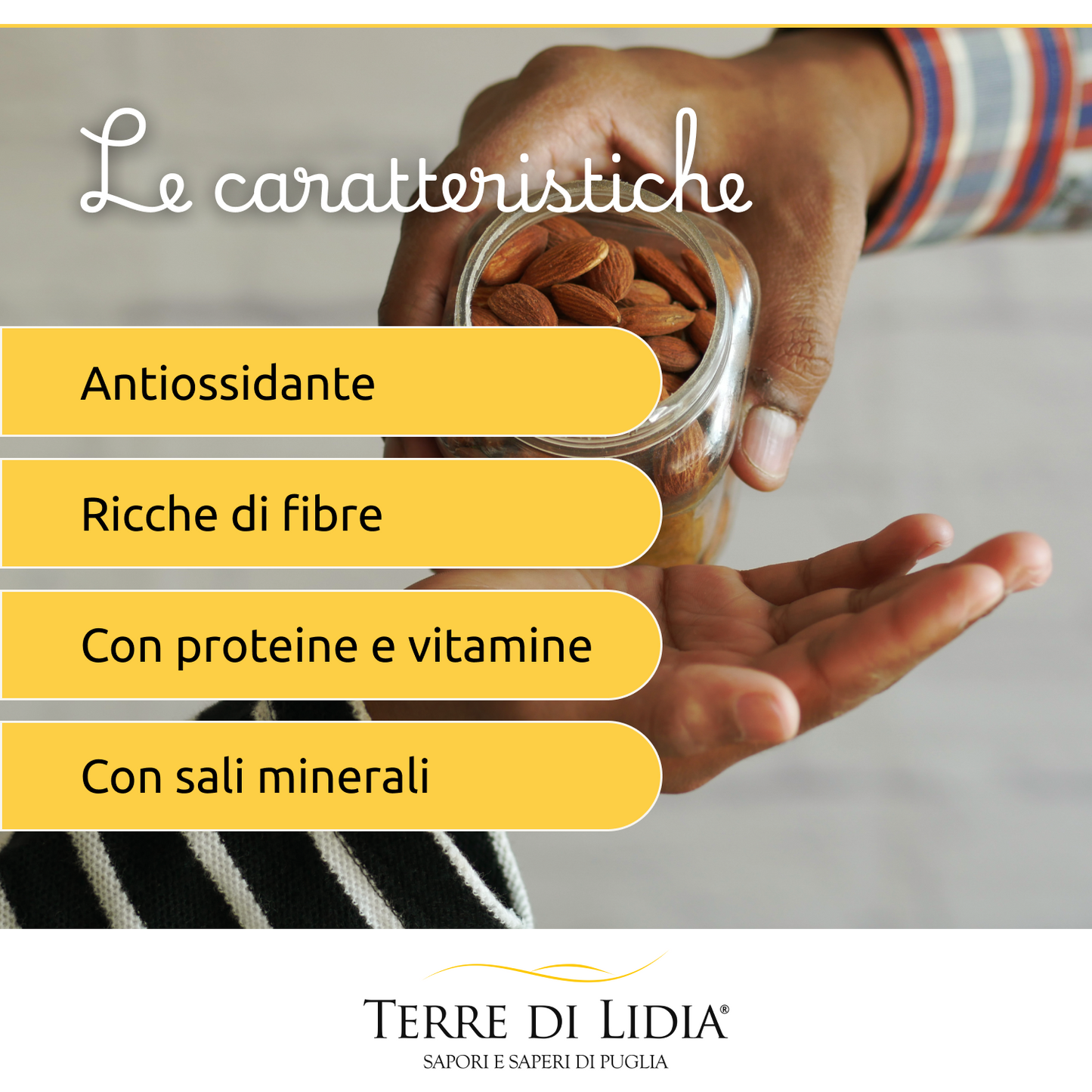 Mandorle dolci grezze sgusciate (4 Confezioni da 500g)