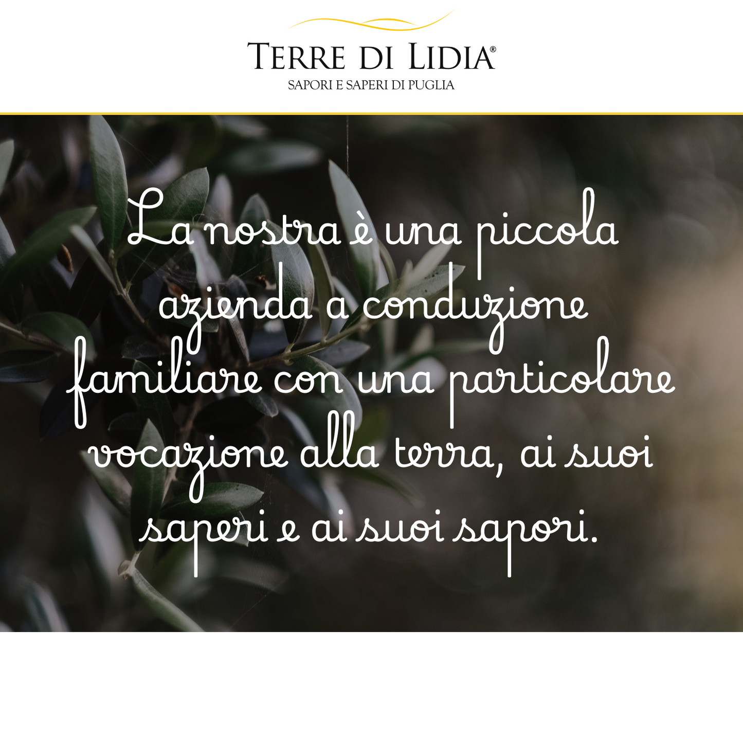 Mandorle dolci grezze sgusciate (4 Confezioni da 500g)