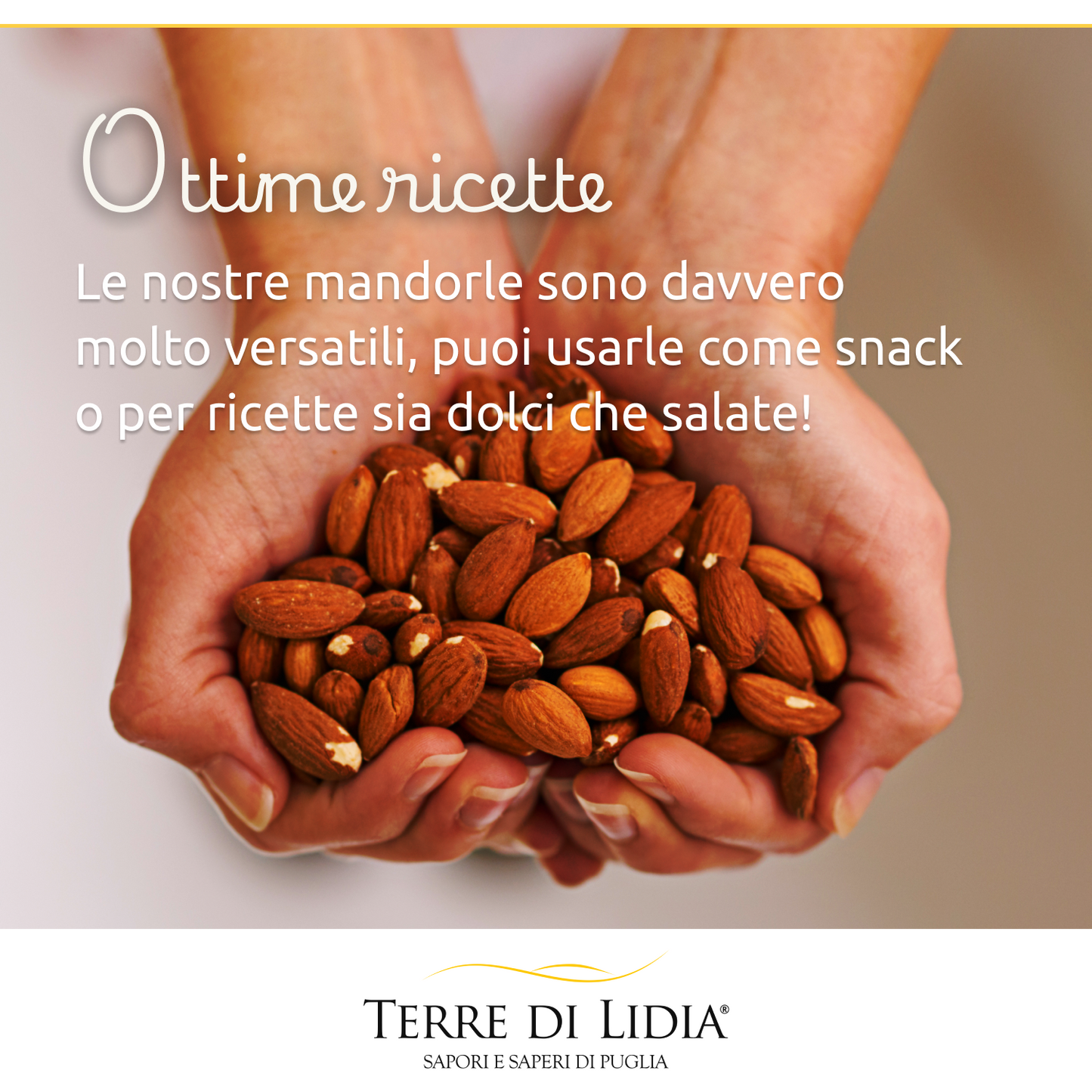 Mandorle dolci grezze sgusciate (4 Confezioni da 500g)