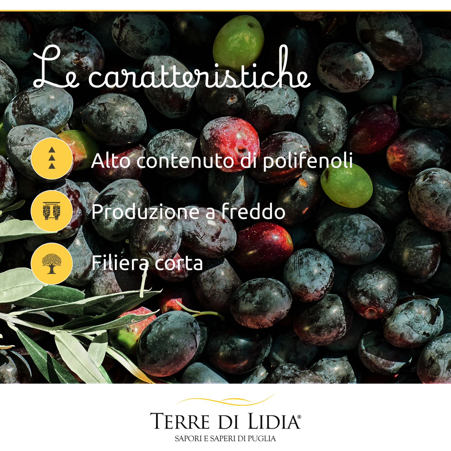 Kit Assaggio Olio Extravergine di Oliva + Mandorle + Taralli